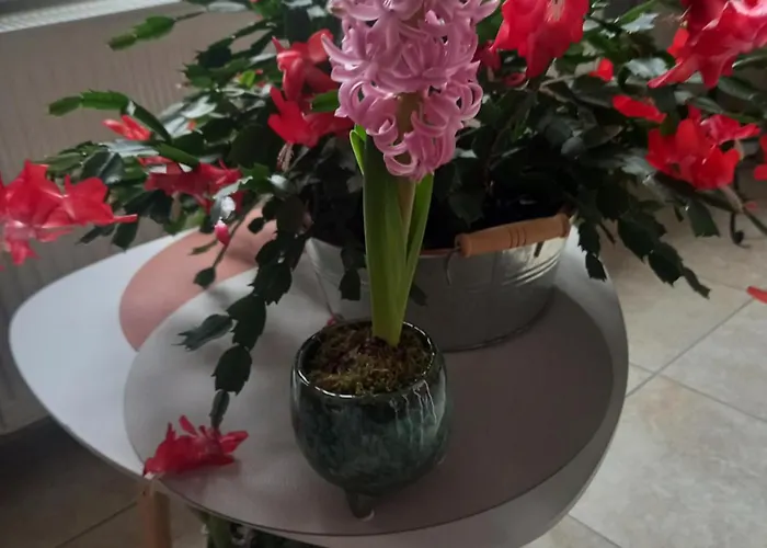 Chez Kiki Privat bolig